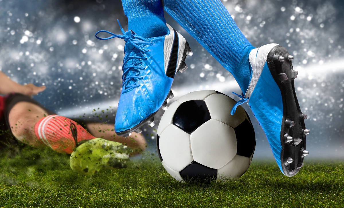 Image Gallery tec-nut.com for Willy's Sports Equipment - Outdoor sports gear, Free website template, No Coding Website, easy website, Website Builder, Fitness accessories, Sporting goods, Free Website, Company Website, New Company, Easy Website, Simple Website
